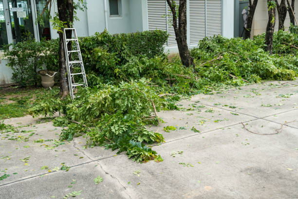 Best Storm Damage Tree Cleanup  in Esperance, WA