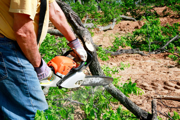 Best Lawn Irrigation Installation and Maintenance  in Esperance, WA